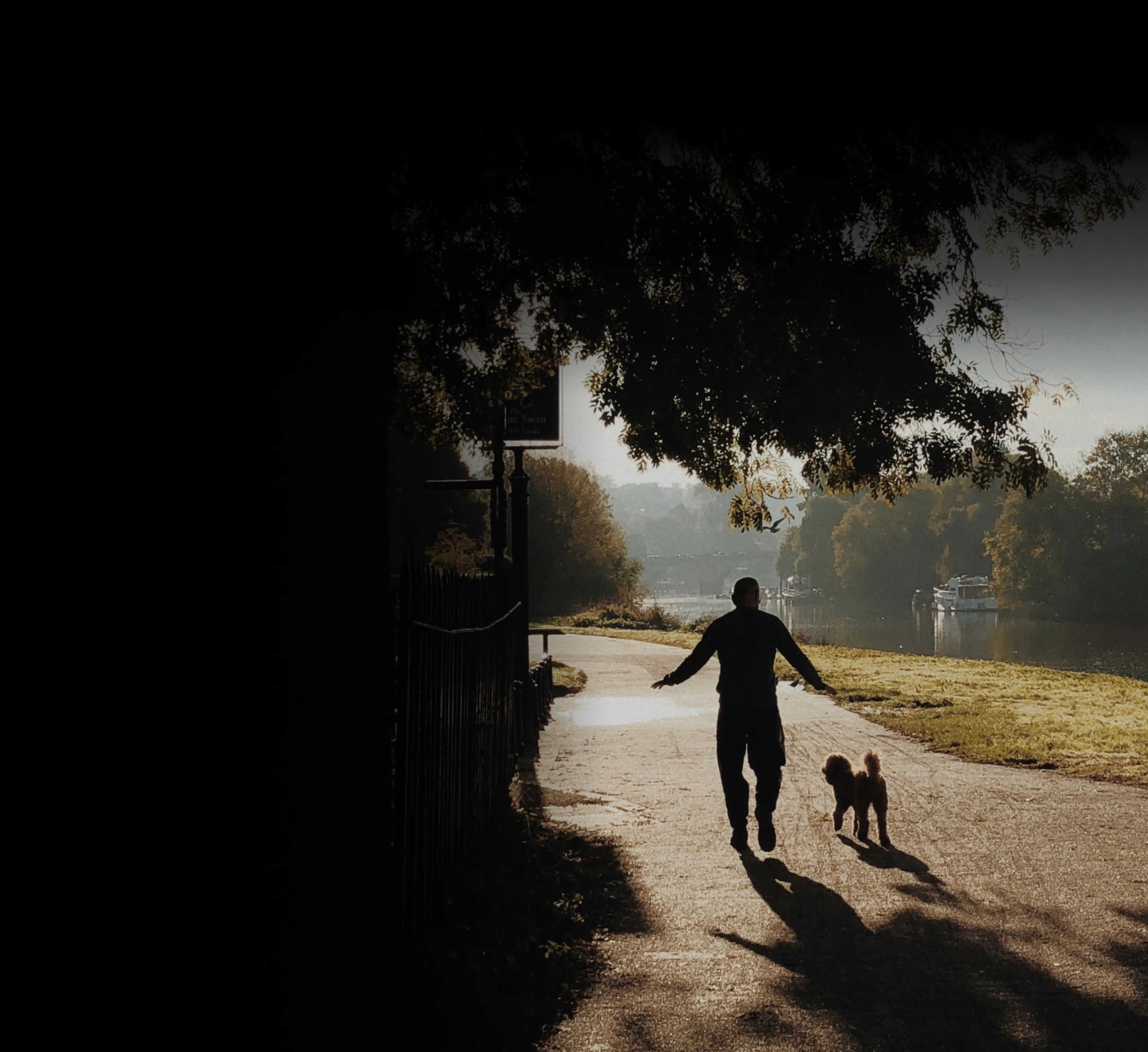 background-3