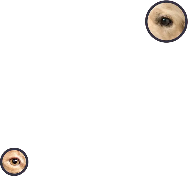 eye crop