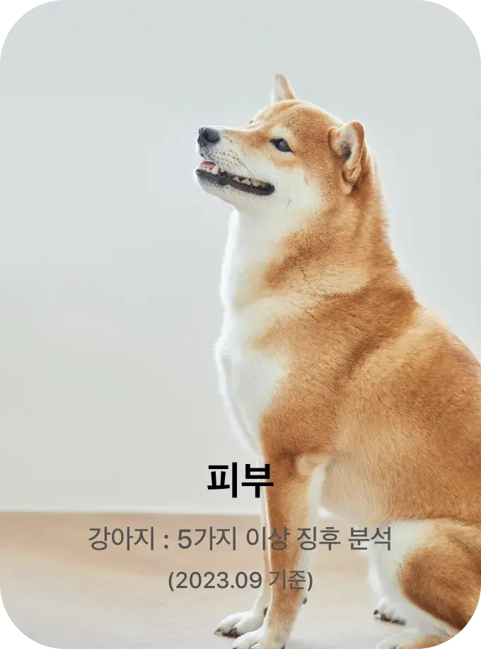 피부