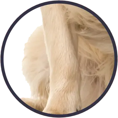 eye crop